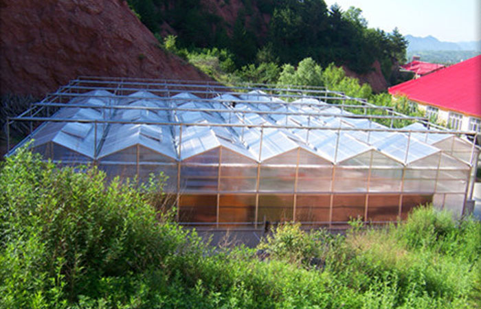 Shaanxi Yulin Greenhouse