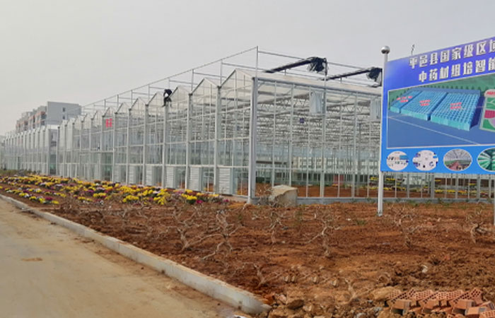 Pingyi County Traditional Chinese Medicine Cultivation Base